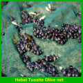 90g 100g 150g / m2 Olivensammelnetz mit UV-Schutz in Stücken